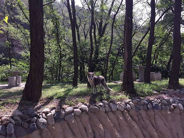 大连金龙寺国家森林公园