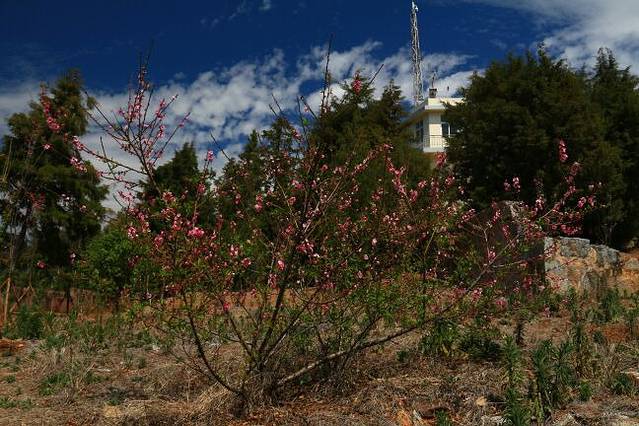 东山国家森林公园