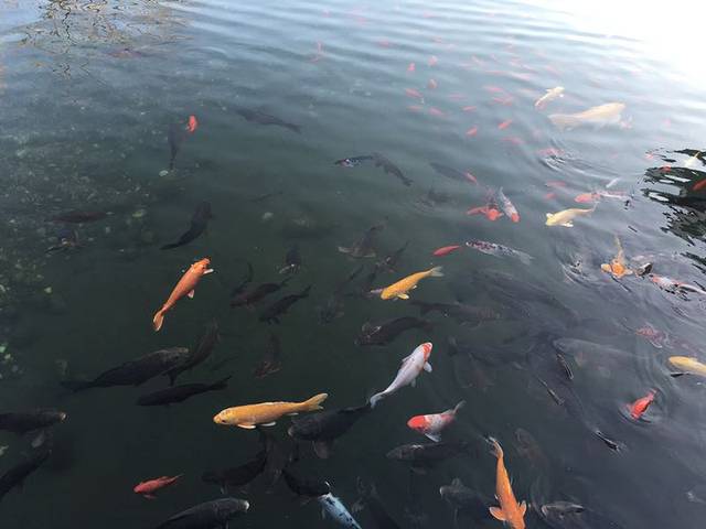 大连铭湖国际温泉滑雪度假区