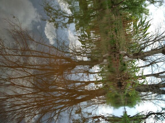 烟雨鹭洲湿地公园