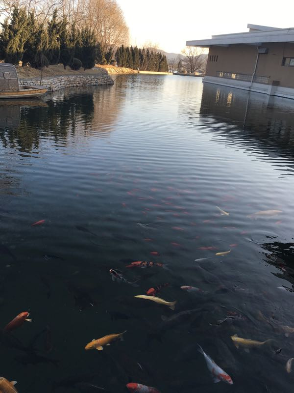 大连铭湖国际温泉滑雪度假区