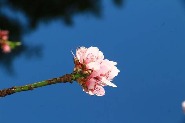 东山国家森林公园