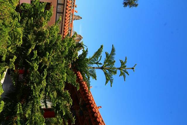 东山国家森林公园