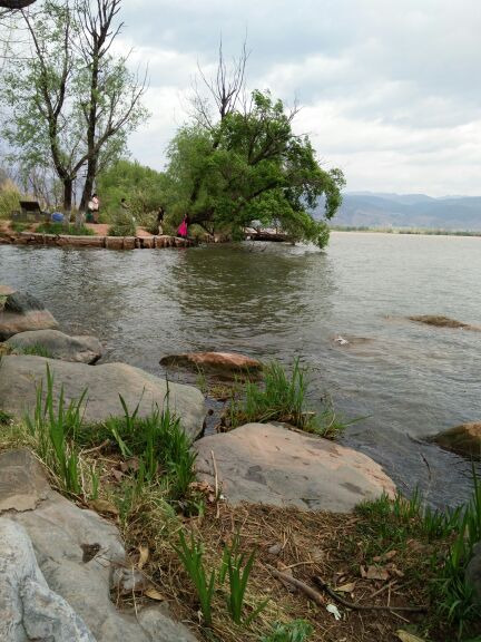 烟雨鹭洲湿地公园