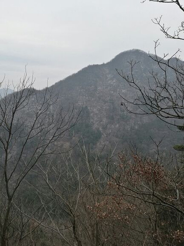 "进门还要每人60元交通巴士费用。现在去有点早，山上还有雪，树木叶子还没长出来_大洪山风景名胜区"的评论图片