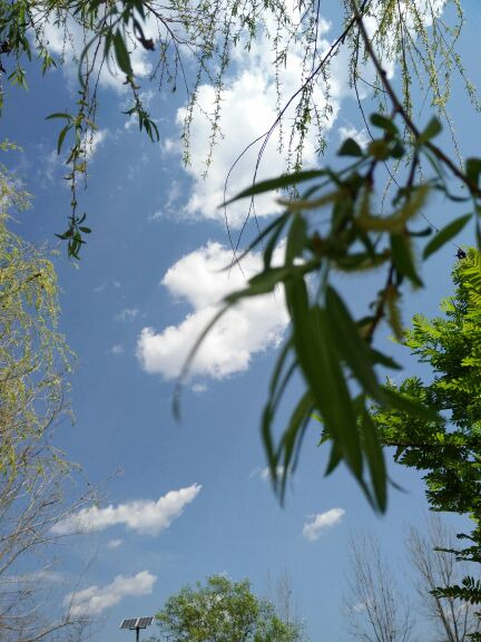 烟雨鹭洲湿地公园