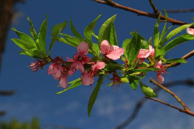 东山国家森林公园