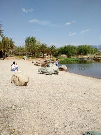 烟雨鹭洲湿地公园