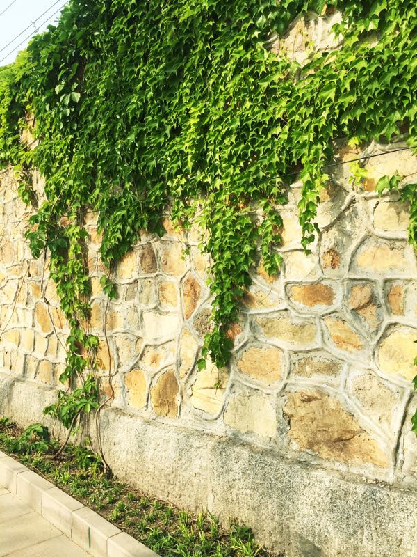 京城水系皇家御河