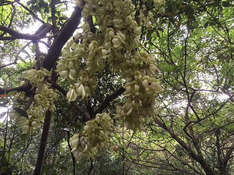 牛鱼嘴风景区旅游景点攻略图