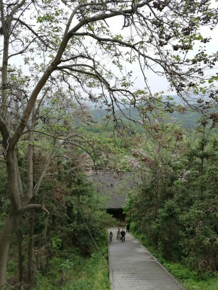 白竹园寺国家森林公园