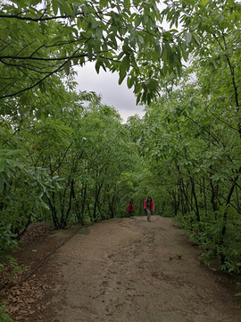 观音洞风景区旅游景点攻略图