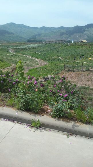 山东沂蒙钻石国家矿山公园