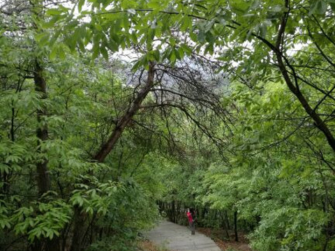 观音洞风景区旅游景点图片