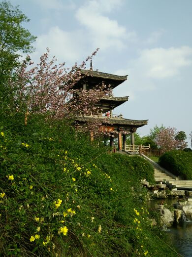 凤凰湖湿地公园