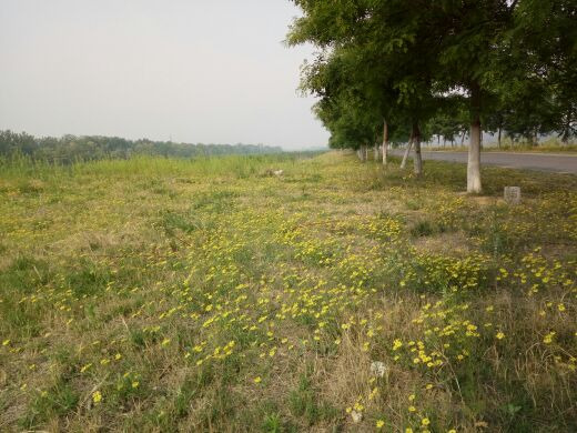 打渔张森林公园