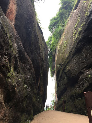 "下雨这两天，长老峰爬到山顶风景挺美的，99天梯那里爬上去有点恐惧，上面没有什么风景看，网络买票很方便_丹霞山"的评论图片