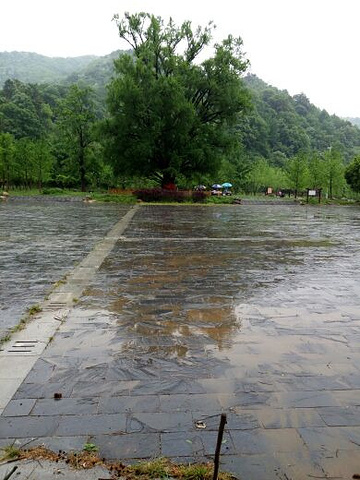 "_大洪山风景名胜区"的评论图片