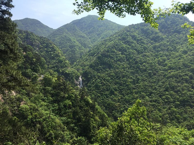 "_东天目山景区"的评论图片