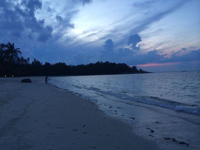 民丹岛大象公园