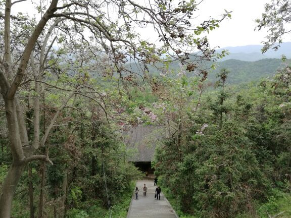 白竹园寺国家森林公园