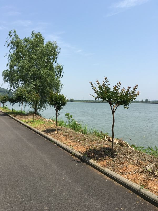 金龙水寨生态乐园