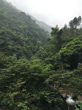 太和古洞旅游景点攻略图