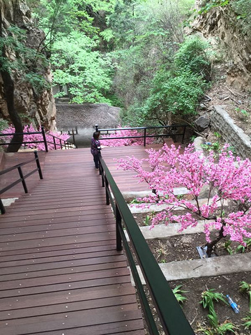 "建议游玩的人避开周末，缆车票价平时50，周末节假100，上山时沿水边走，道路平缓，只有一个21..._石林峡"的评论图片