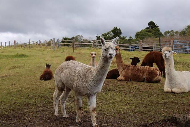 雷明顿国家公园