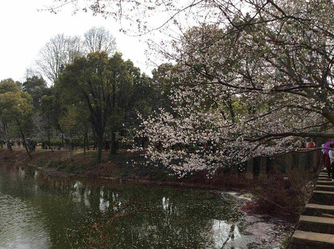 秀峰旅游景点攻略图