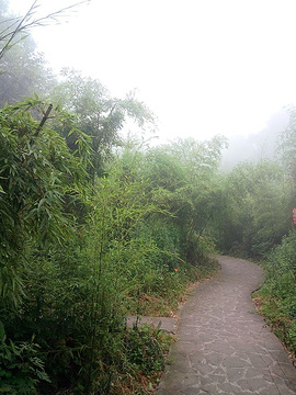 茶山竹海旅游景点攻略图