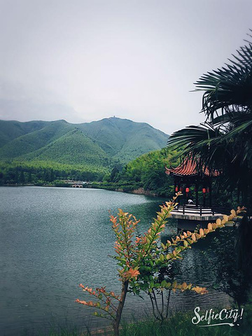 "风景很美，里面很大，爬山爬不动坐的索道上山，40元一人有点贵，下山没坐索道，脚走的，今天起床 ..._宜兴竹海"的评论图片