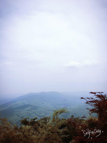 "风景很美，里面很大，爬山爬不动坐的索道上山，40元一人有点贵，下山没坐索道，脚走的，今天起床 ..._宜兴竹海"的评论图片