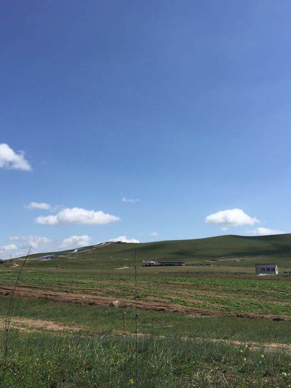 坝上草原嘉年华