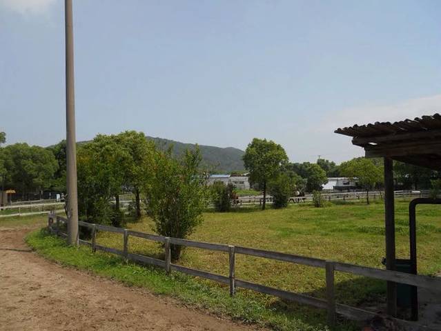 西山岛开心农场