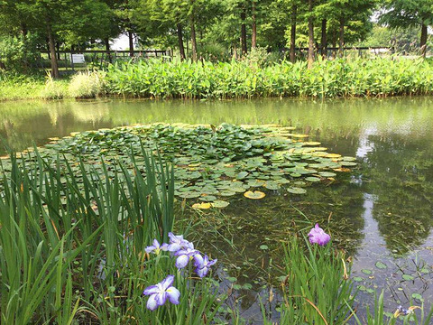 上海辰山植物园旅游景点攻略图