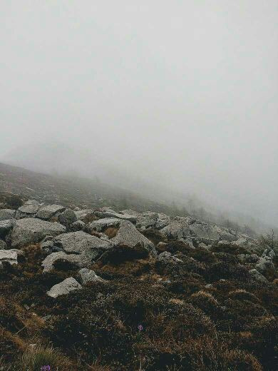 劳山国家森林公园