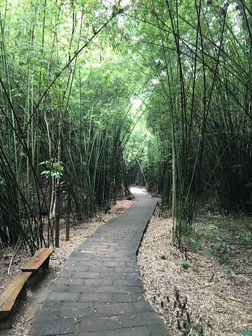 "...行露营，所以先去的百丈峡等景区，第二天去的阳元山景区，该景区虽然不高但是非常陡峭，还是非常刺激_丹霞山"的评论图片