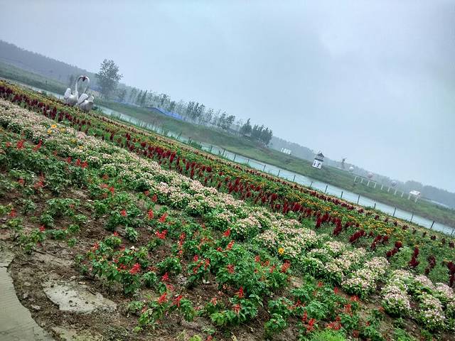 六安蓝溪大花谷