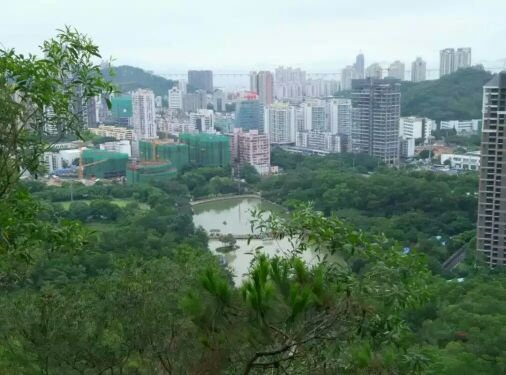 板樟山森林公园