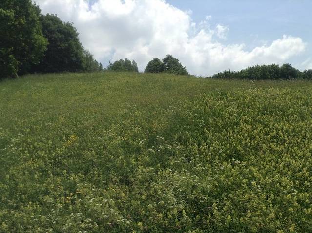 慕尼黑奥林匹克公园