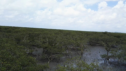 北海金海湾红树林生态旅游区旅游景点攻略图