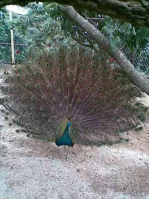 八国风情旅游度假区