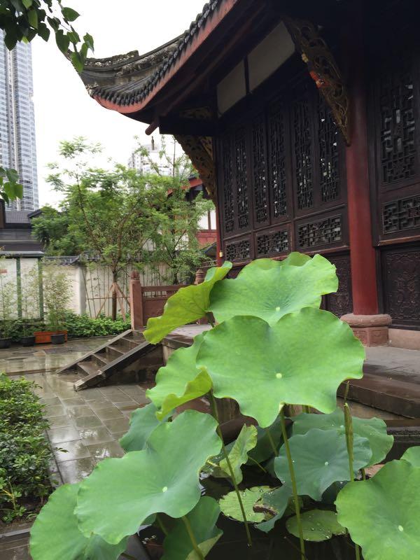 郑东新区湿地公园