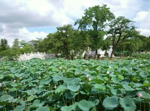惠州西湖风景名胜区-丰渚园