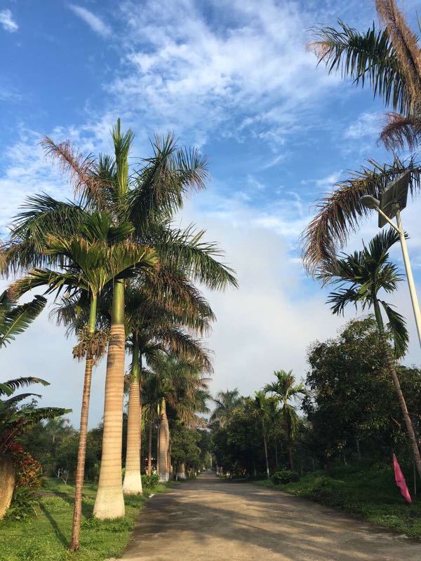 八国风情旅游度假区