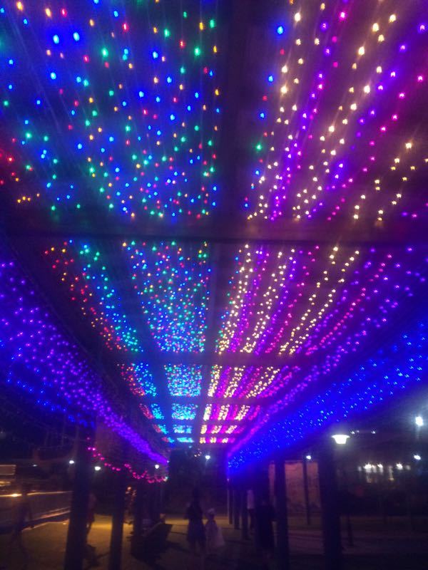 温州海豚湾梦幻水上乐园