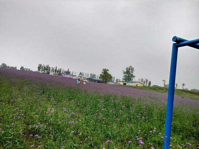 六安蓝溪大花谷