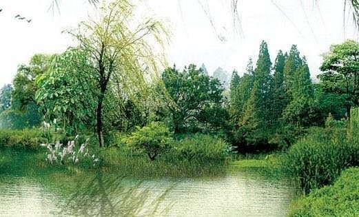 西流湖公园生态中心