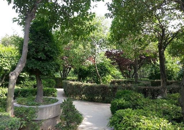 西流湖公园生态中心